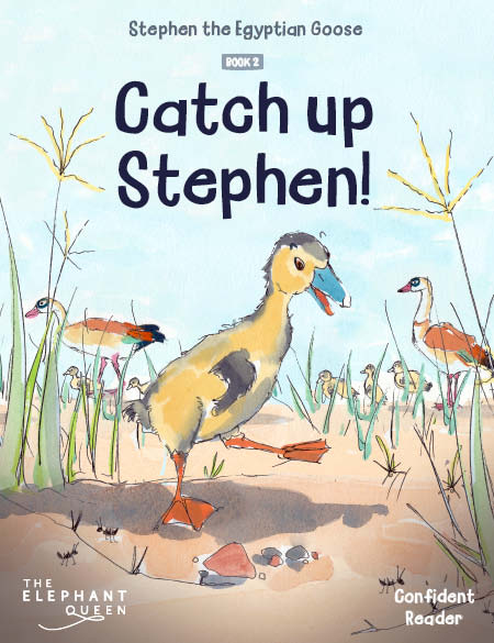 Catch up Stephen!