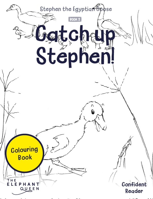 Catch up Stephen!
