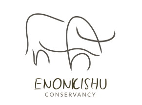 Enonkishu Conservancy