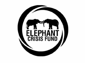 Elephant Crisis Fund