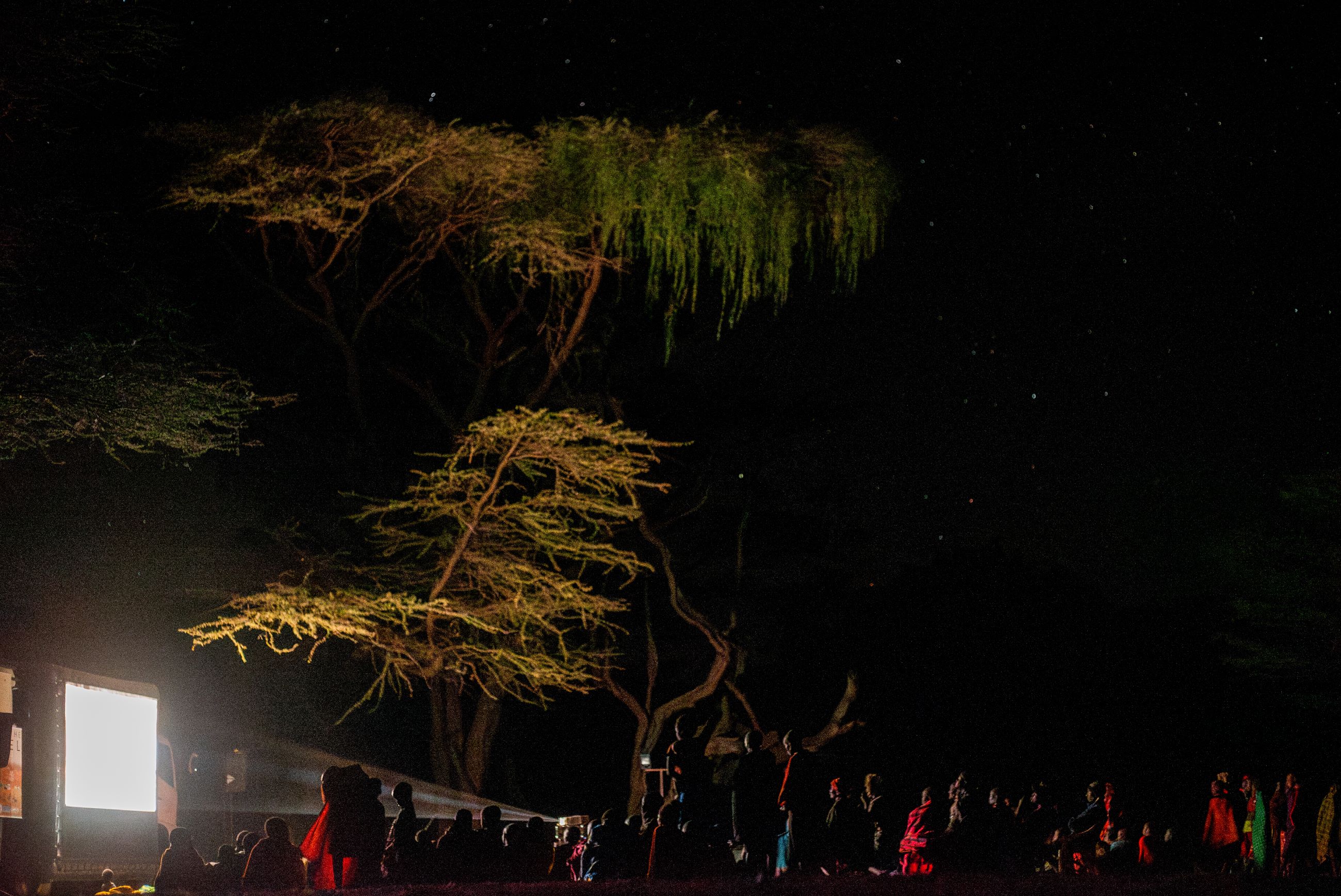 Screening under the stars in Waso Rongai
